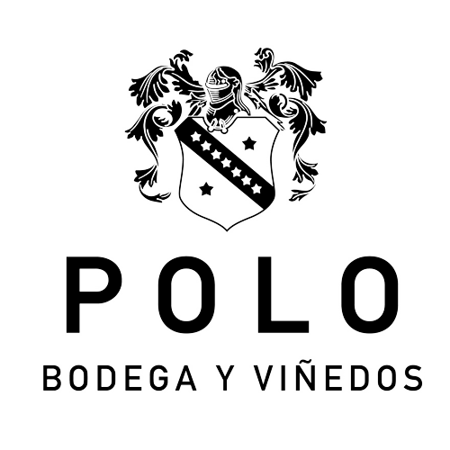 polo_Mesa de trabajo 1